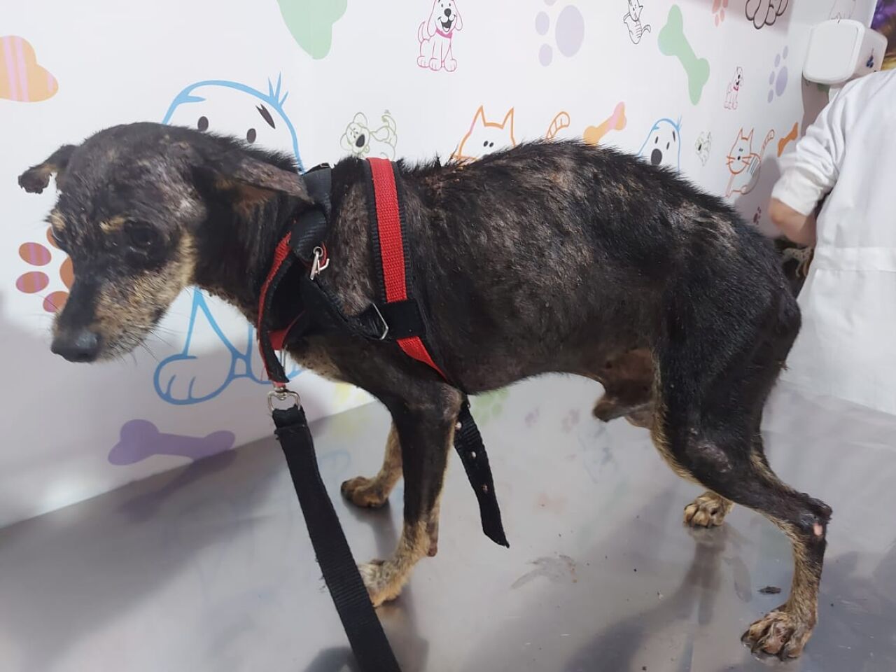 Resgate e situação de vulnerabilidade